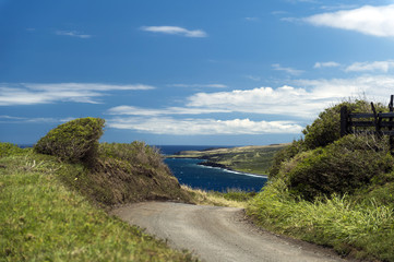 Piilani Highway, Maui, Hawaii -4