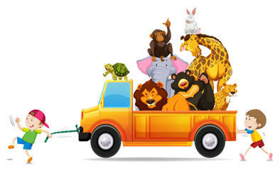 Obraz na płótnie Canvas Wild animals on the pick up truck