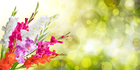 Beautiful Floral Nature Background