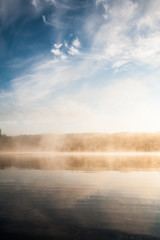 Fototapeta na wymiar Forest at lakeside at foggy morning