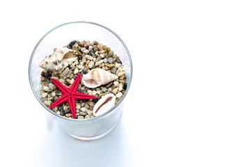 Sea sand and clams in a glass on a white background