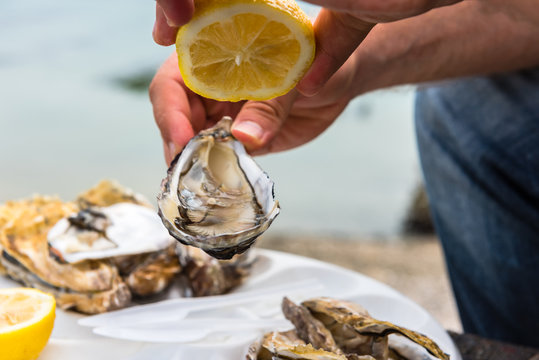 Male hand holding oysters