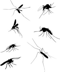 even mosquito silhouettes isolated on white
