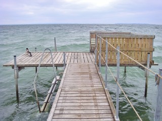 Obraz premium Two ducks resting on a wooden bathing pier on the eastcoast of Sealand, (Sjælland), Denmark