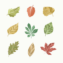 leaves collection