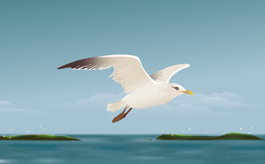 Fototapeta na wymiar Seagull, Sea and Islands 01