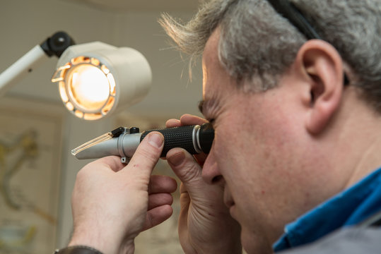 v&eacute;t&eacute;rinaire analyse au prisme ou au microscope les virus dans le sang de l'animal domestique le chat le chien le nac. Un &eacute;cran permet au propri&eacute;taire de l'animal de comprendre le mal.