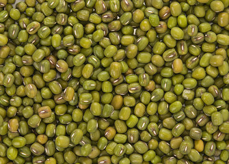 Mung beans isolated on white background