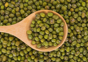 Mung beans isolated on white background