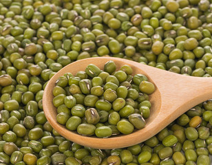 Mung beans isolated on white background