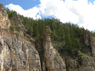 Динозаврик