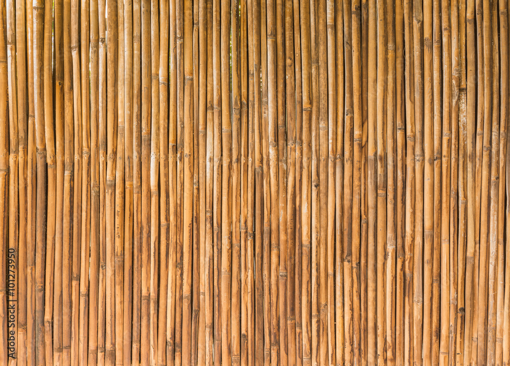 Wall mural bamboo wood of fence wall background - Wall murals