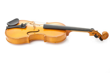 violin on white background - 101274133