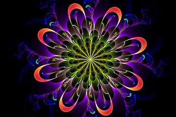 Abstract fractal fantasy pattern and shapes.