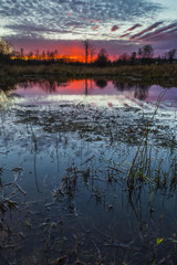 Obraz premium colorful rural sunset scene in late autumn