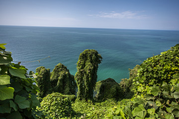Ogr&oacute;d botaniczny - Botanical garden in Batumi
