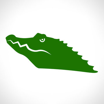 Vector image of an crocodile