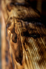 Texture of old wood