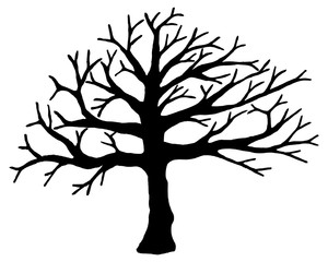 Obraz premium Tree vector isolated on white background.