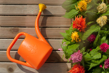 watering can and flowers
