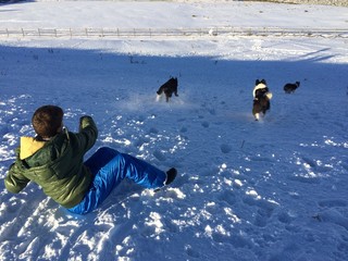 niño jugando con sus mascotas en la nieve