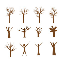 conceptual tree design 