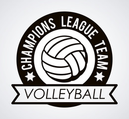 volleyball league design 