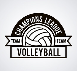 volleyball league design 