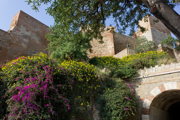 Fototapeta na wymiar Alcazaba Fortress in Malaga, Spain