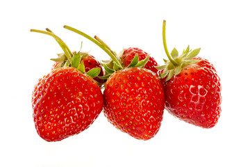 Red berry strawberry