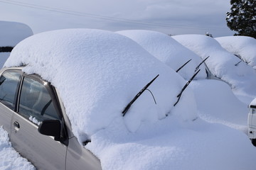 雪が積もった車／豪雪地帯の山形県で、雪が積もった自動車を撮影した、冬イメージの写真です。