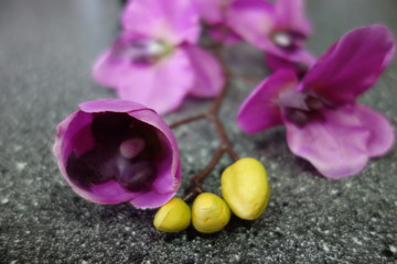 Violet artificial orchid on table