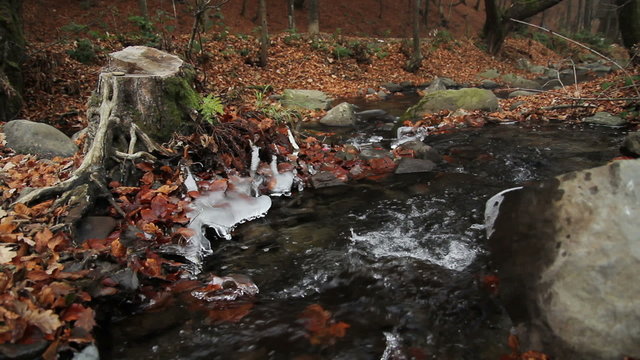 Creek in autumn forest

mountain creek in autumn forest with a raging stream, dry stump and a carpet of dry fallen foliage (composite; WS, CU; canon 60d, 1080p 25fps)