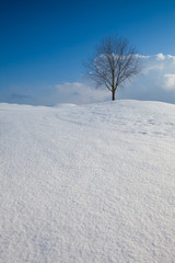 Fototapeta na wymiar Winter landscape under blue sky