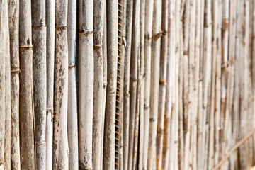 texture bamboo wood