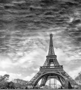 Fototapeta Black and white view of Eiffel Tower in Paris, France