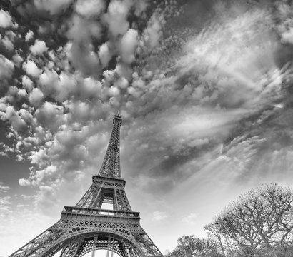 Fototapeta Black and white view of Eiffel Tower in Paris, France