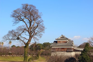 熊本城　戌亥櫓と枯木