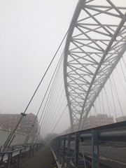 roma ponte settimia spizzichino