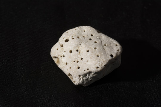 perforated stone from the sea on a black background