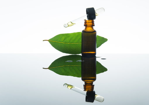 Bay essential oil, bay oil, bay leaf, amber glass bottle, dropper.