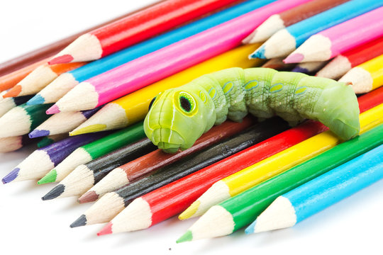 Green worm on crayons