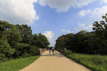 夏の公園とカップル