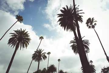 Gordijnen Beverly hills palms © oneinchpunch