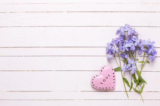 Background with  blue flowers and  pink decorative heart on whit