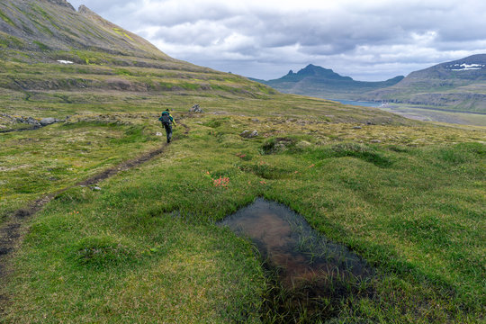 Hiking in most the isolated icelandic national park - Hornstrandir.