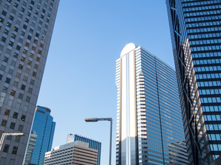 新宿高層ビル群を見上げる