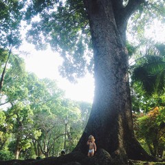 ребенок стоит около огромного дерева © ali4ek