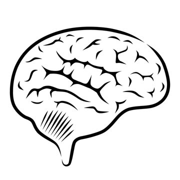 Liniensymbol: Gehirn, Zeichnung, Schwarz-weiß, Vektor, freigestellt