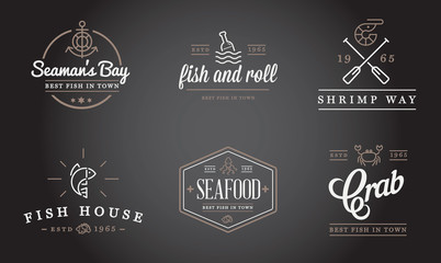 Fototapeta na wymiar Set of Vector Sea Food Elements and Sea Signs Illustration can be used as Logo or Icon in premium quality